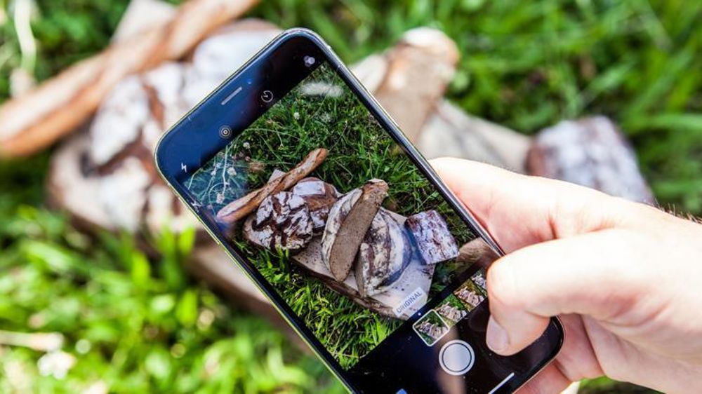 La qualité des photos et la mise en scène favorisent la valorisation de vos produits sur les réseaux sociaux. © Graines 2sens